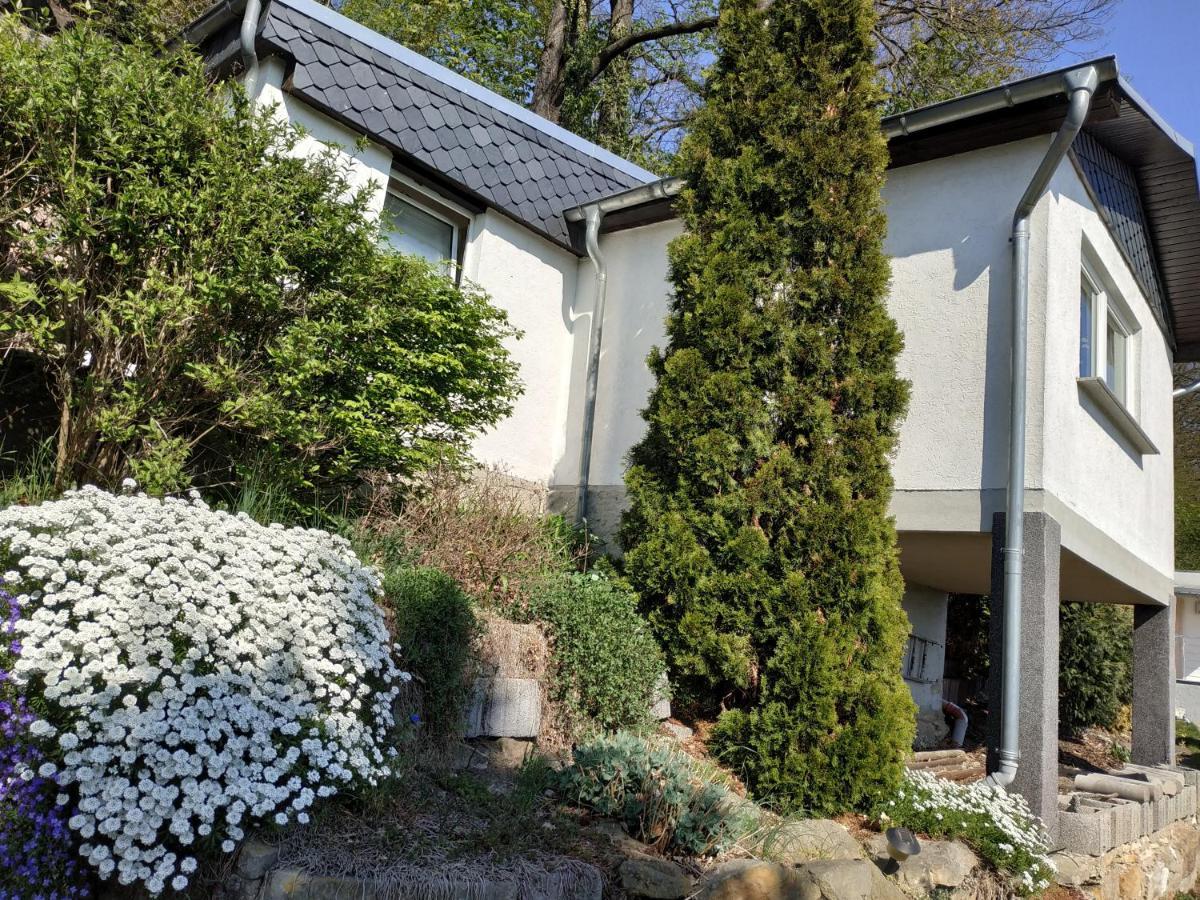 Das Ferienhaus Mit Aussicht Pirna Exterior foto